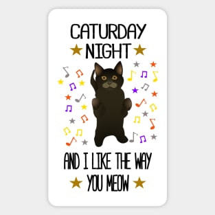 Caturday Night Magnet